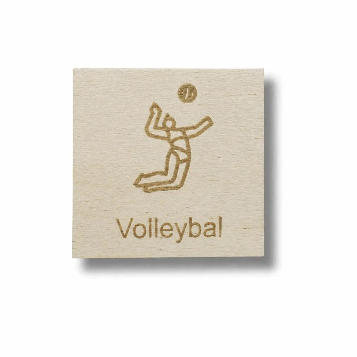 Pictogram Volleybal