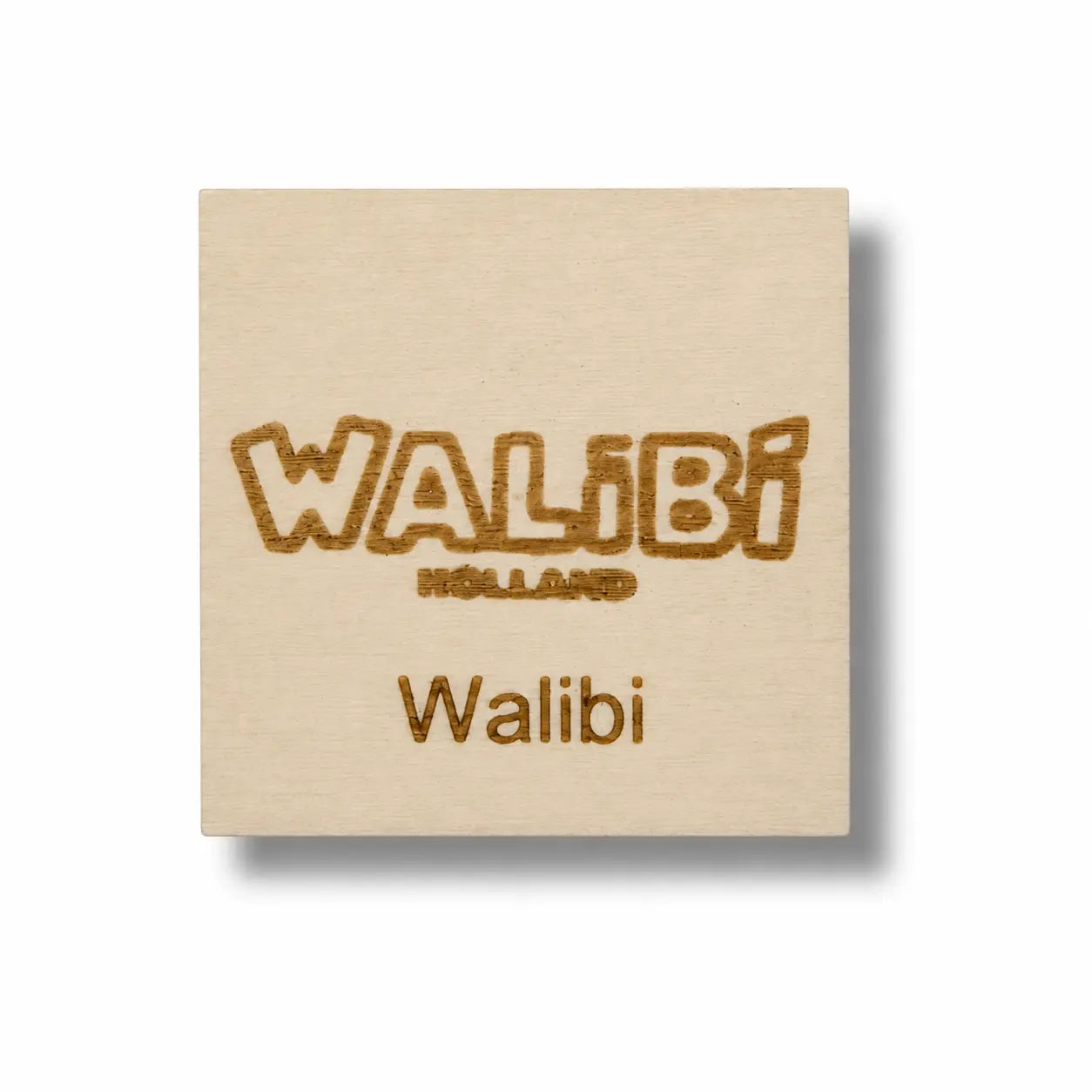 Pictogram Walibi – houten pictogram voor uitjes en dagjes weg