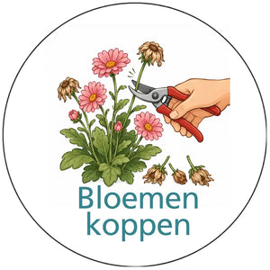 Magnetisch pictogram Bloemen koppen voor een duidelijk tuinklusje