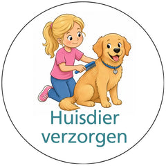 Pictogram uitvoering Versie B