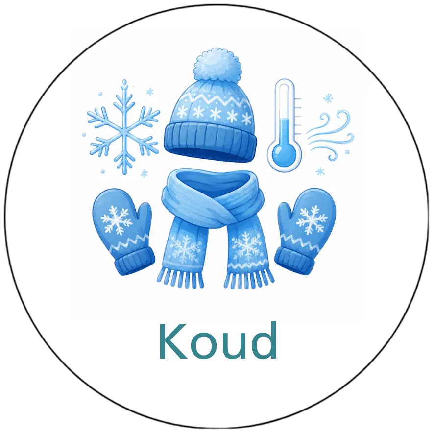 Magnetisch pictogram Koud – versie A zonder mens
