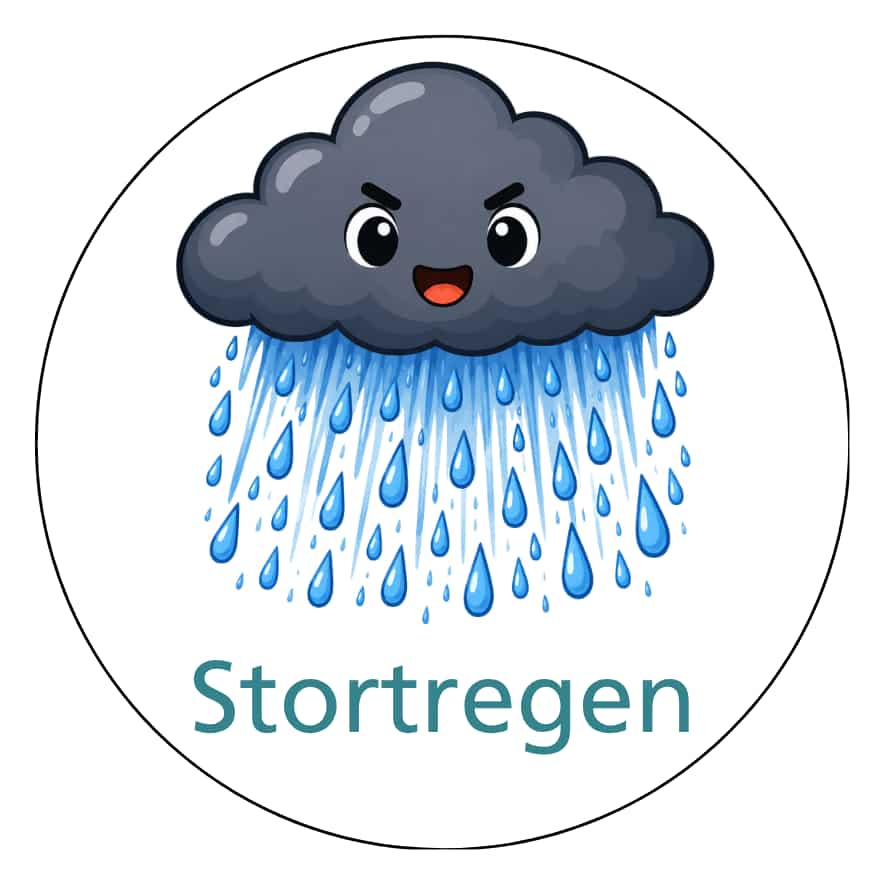 Magnetisch pictogram Stortregen